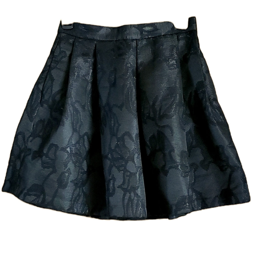 Banana Republic Pleated Skirt